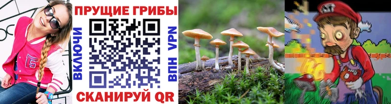 Галлюциногенные грибы мухоморы  Усолье-Сибирское 