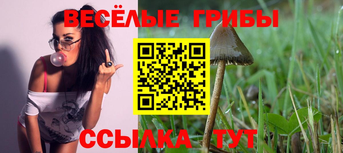 Усолье-Сибирское  Псилоцибиновые грибы мухоморы  Вход с VPN 